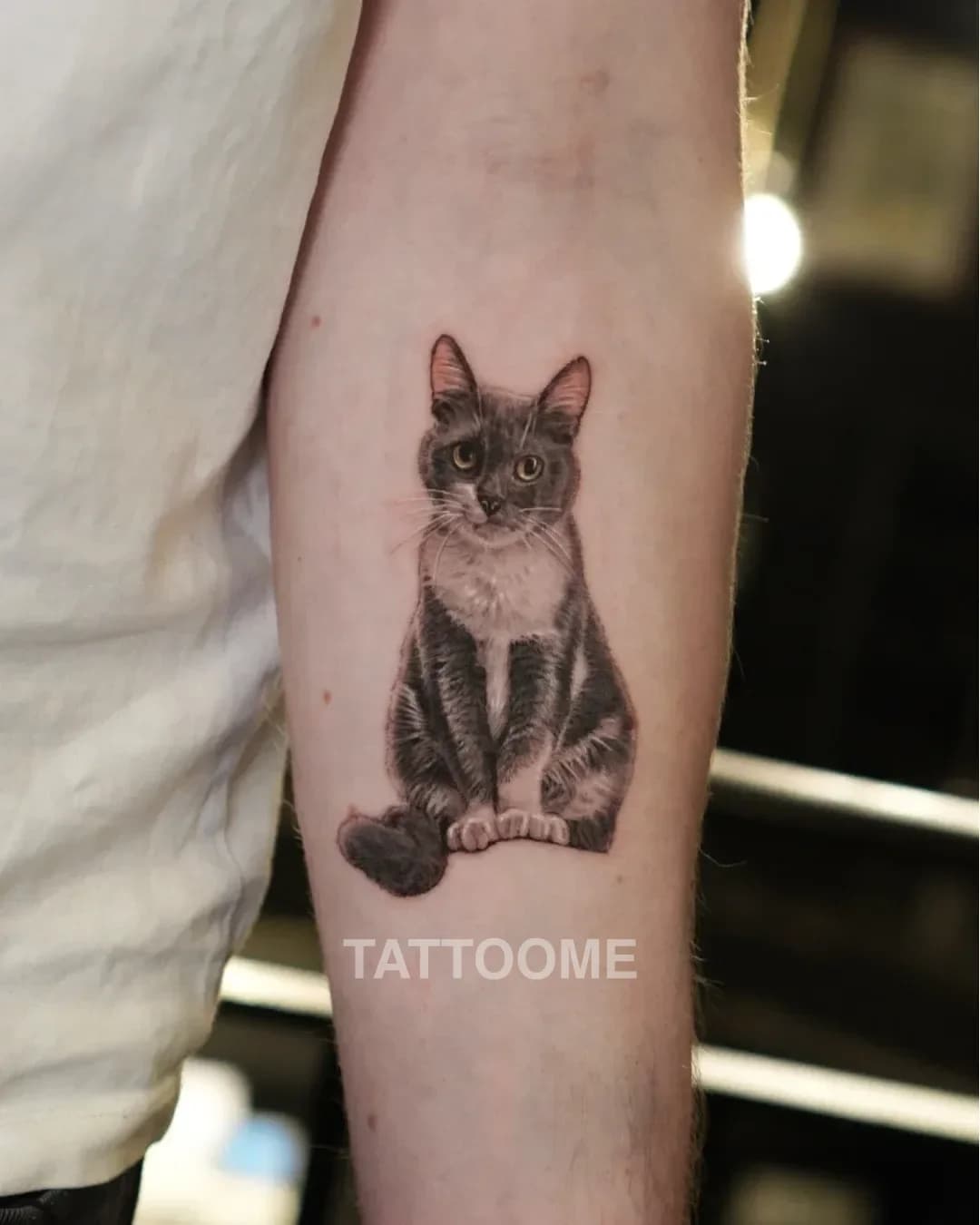 원포인트 고양이 - tattooist.aya