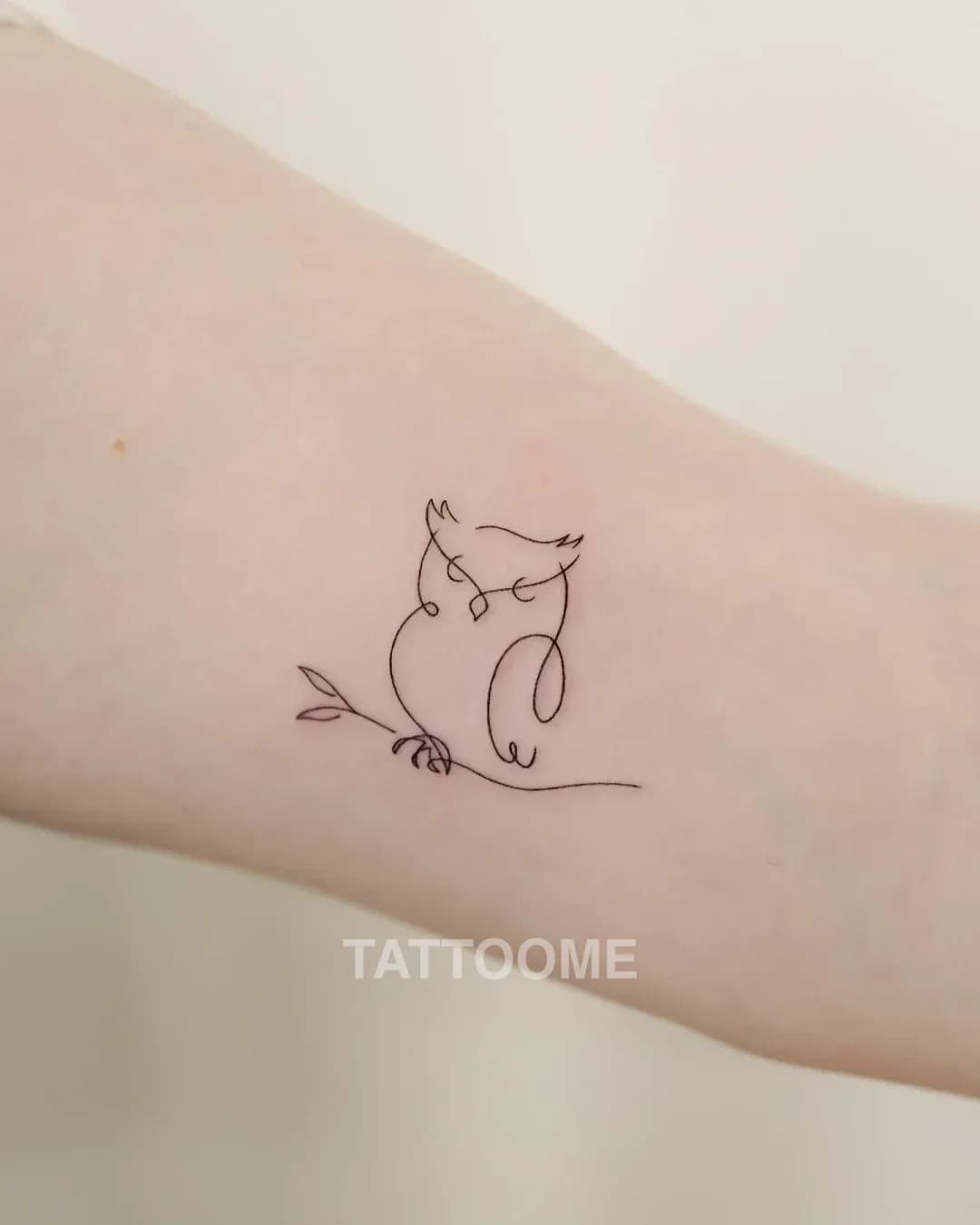 라인워크 부엉이 - lime_tattoo