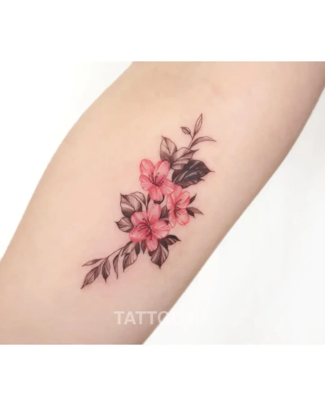감성타투 1 - tattooist_minseo