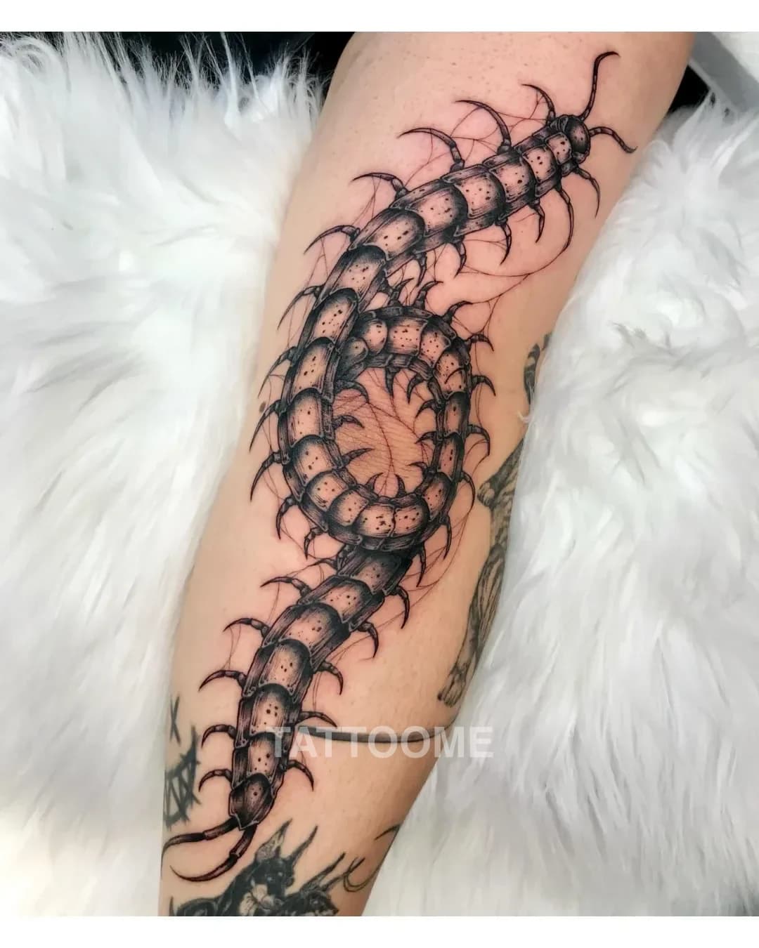 블랙워크 타투 5 - shino_minitattooer