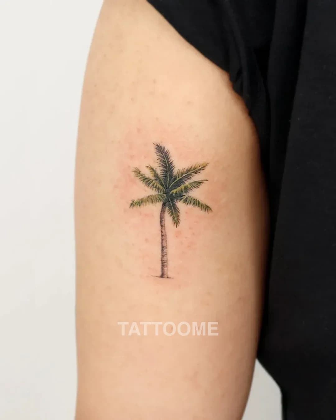 감성타투 야자수 - mimir_tattoo