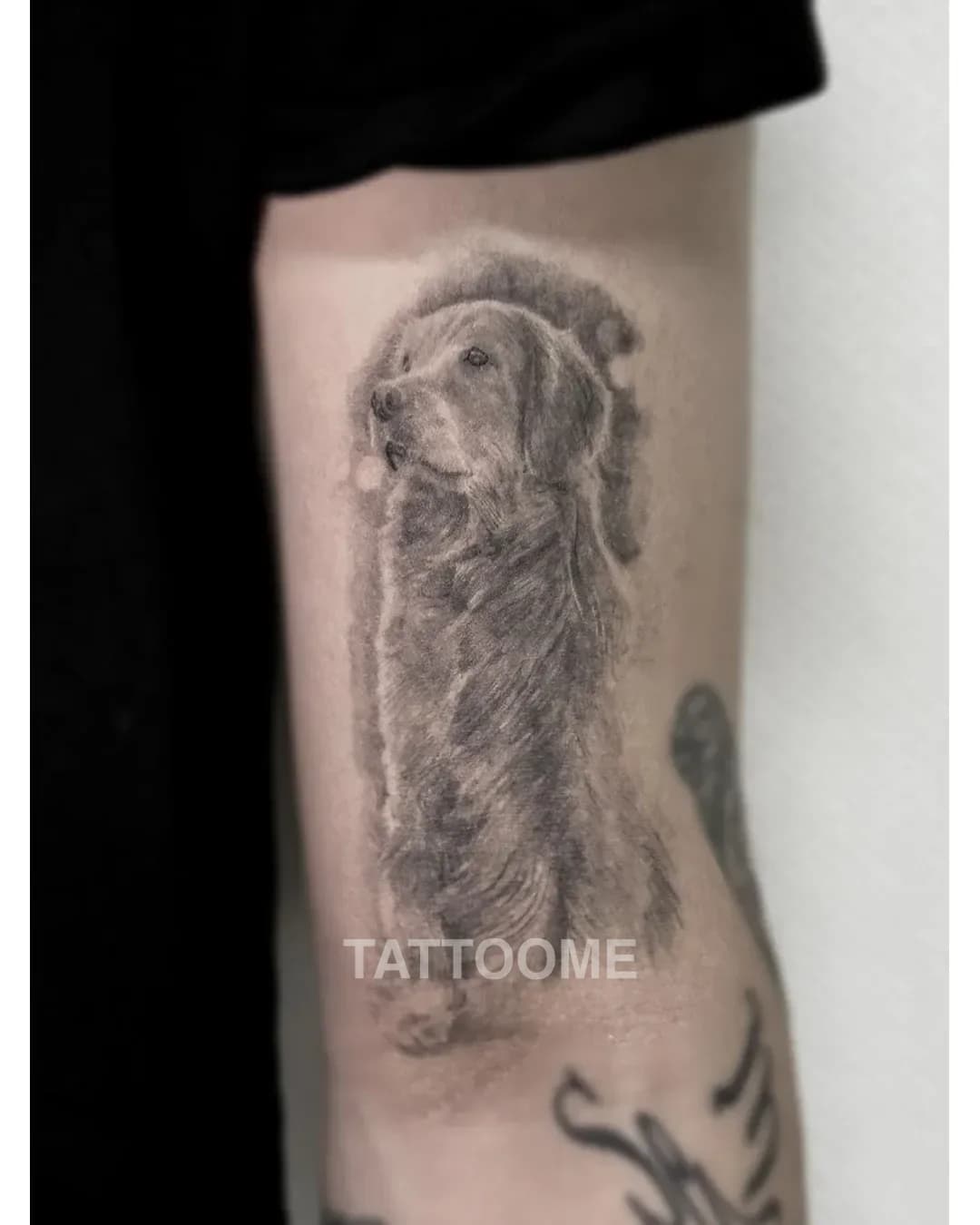 블랙앤그레이 타투 1 - tattoo_to_zino