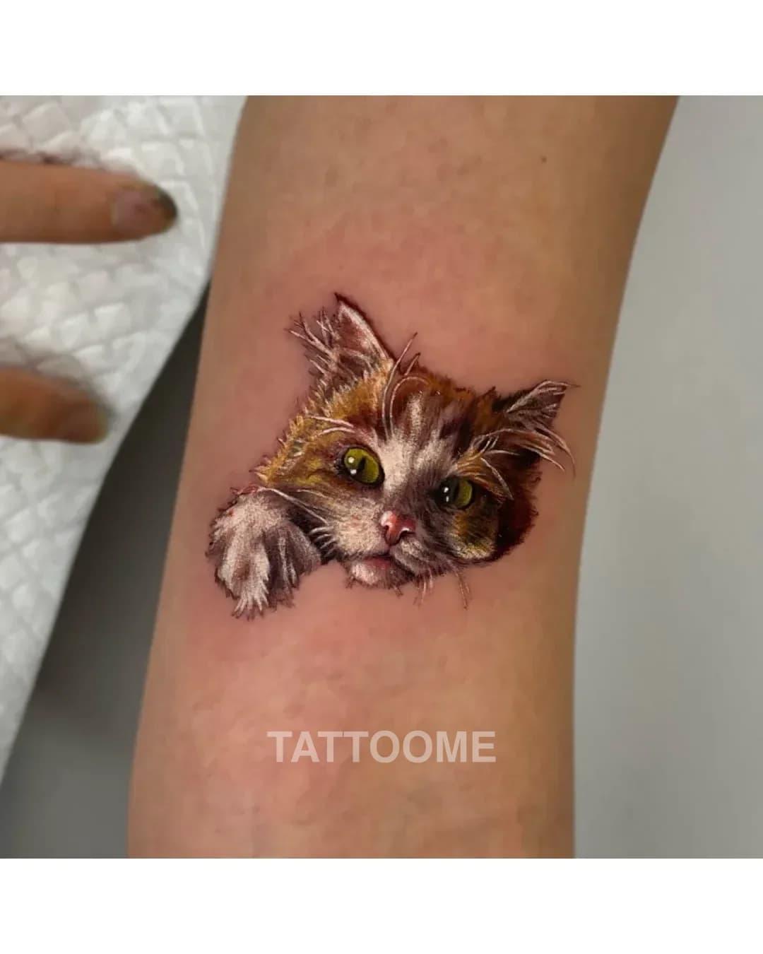 리얼리스틱 타투 1 - christ_tattooer
