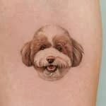 bau.pettattoo