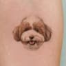 bau.pettattoo