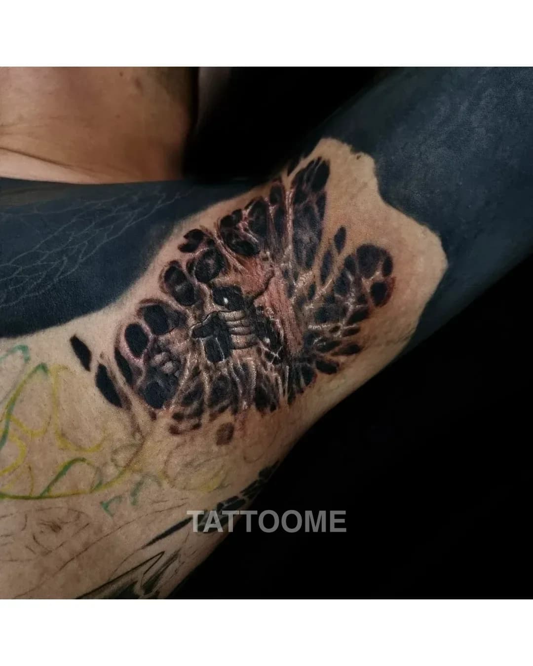 블랙앤그레이 타투 4 - tattooer_gogi