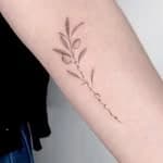 tato_odom