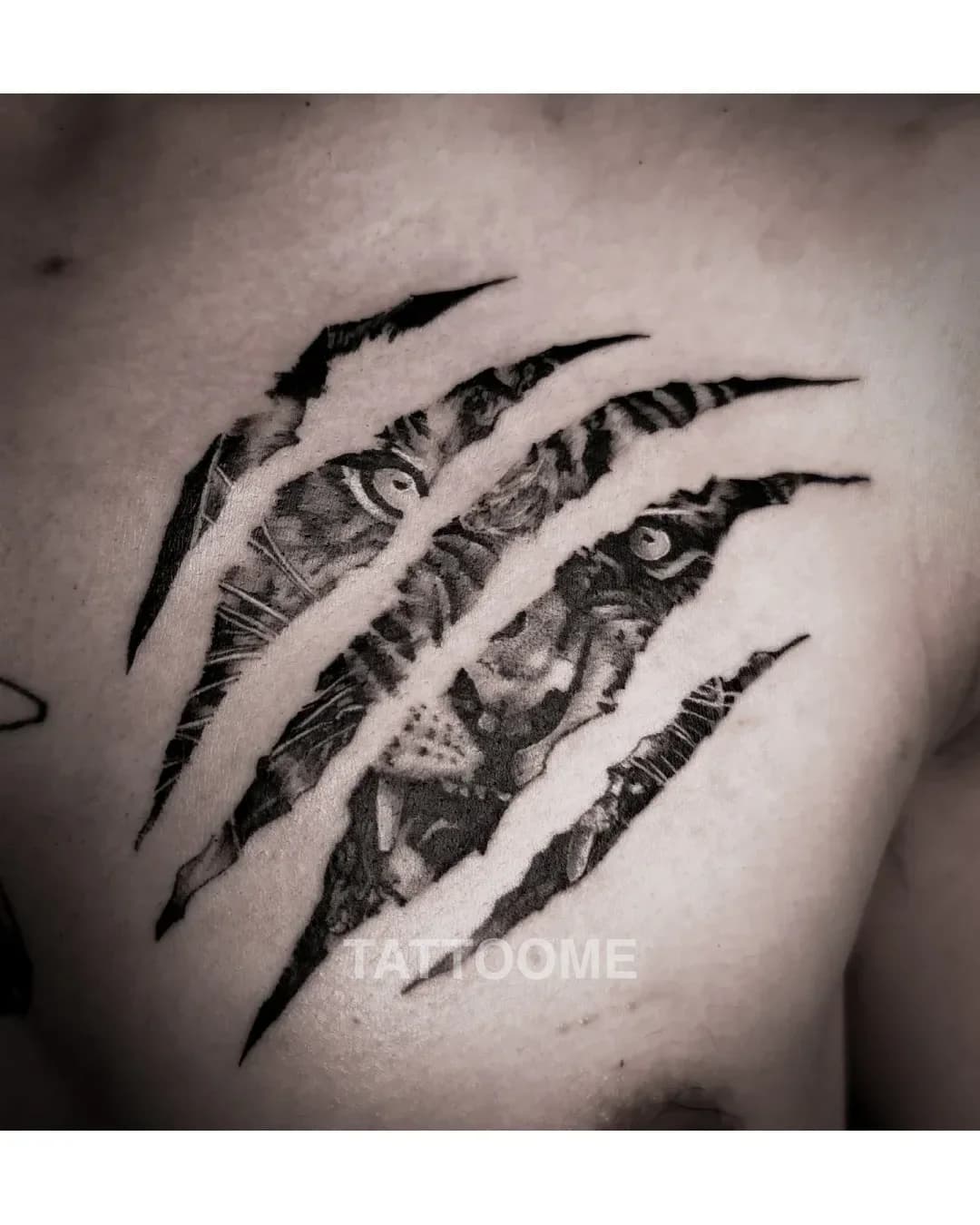 블랙앤그레이 호랑이 - ress_tattoo