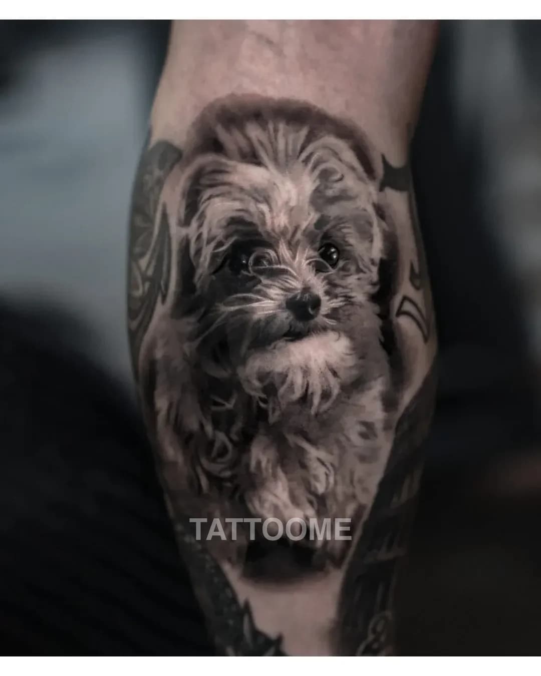 블랙앤그레이 강아지 - tattoosbyiseul