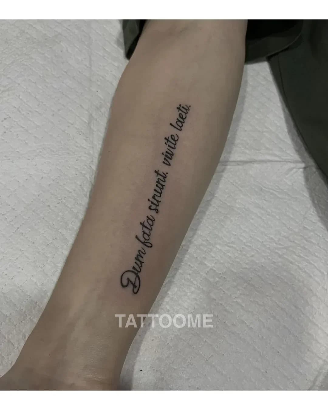 레터링 타투 2 - dytattooer