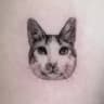 naim_ink