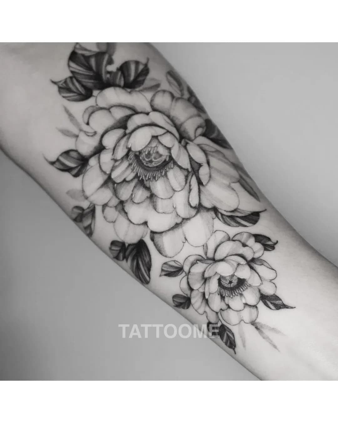 라인워크 타투 2 - pint_tattoo