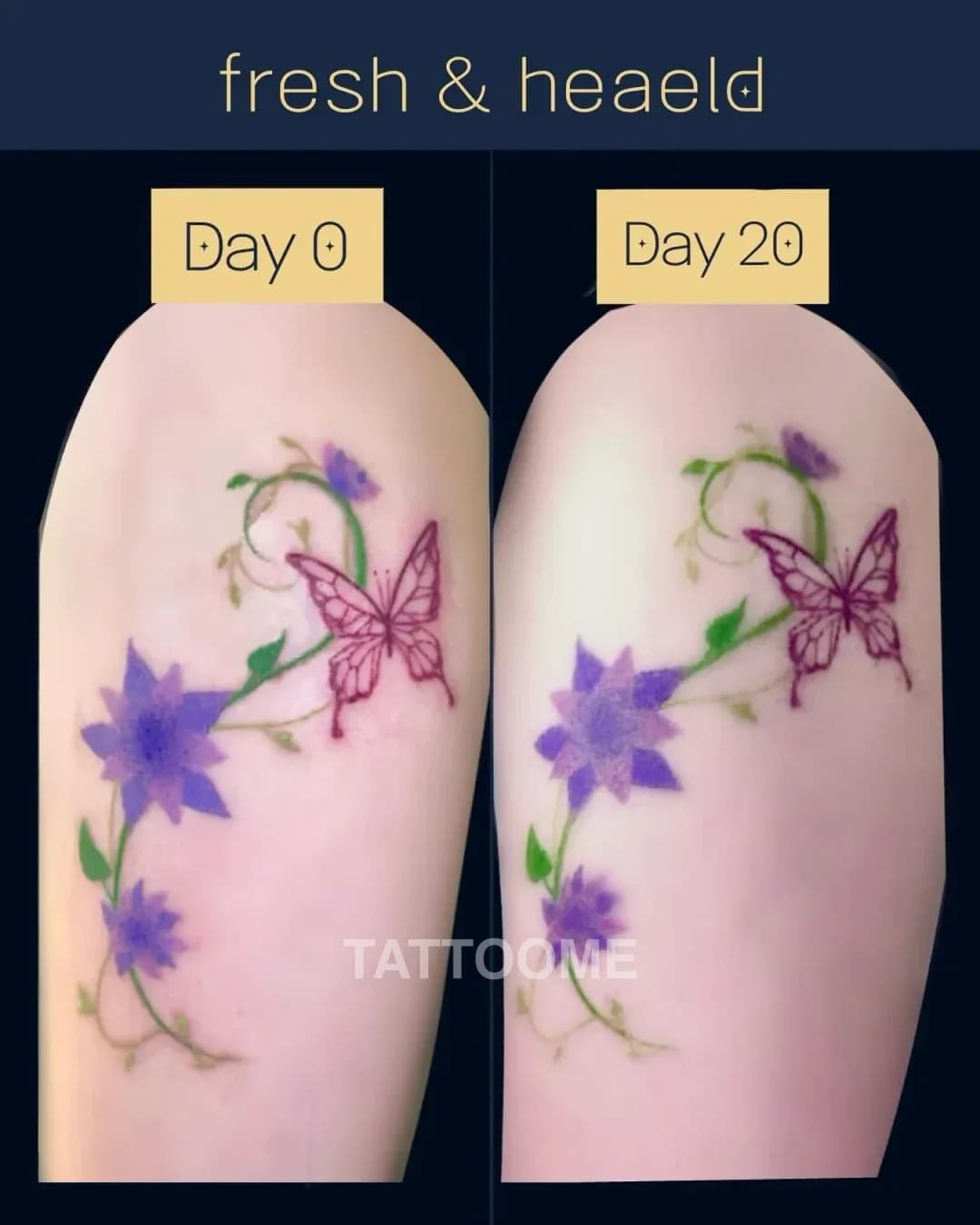 감성타투 나비 - tt.tattoo.121