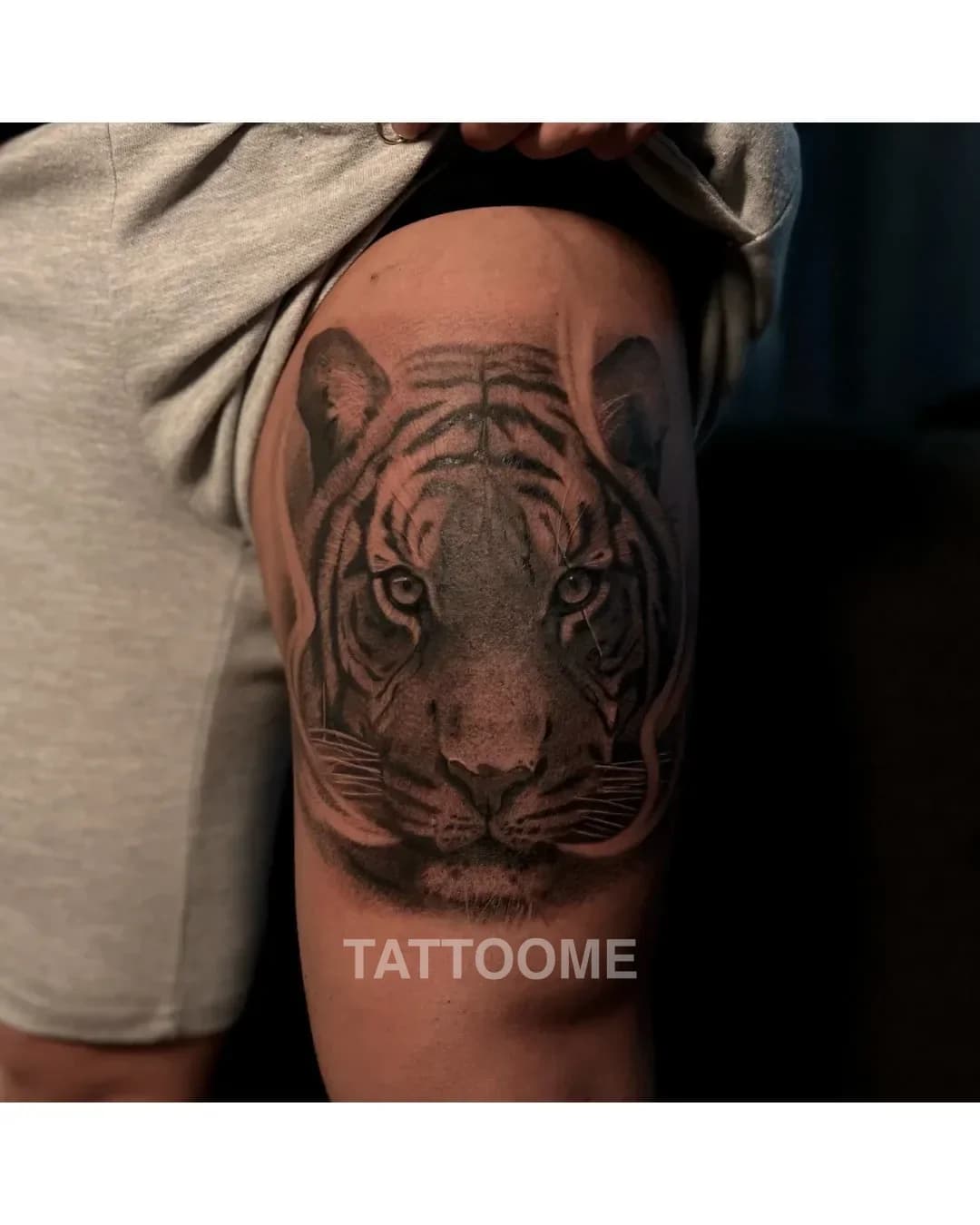블랙앤그레이 호랑이 - tattooist.xoya