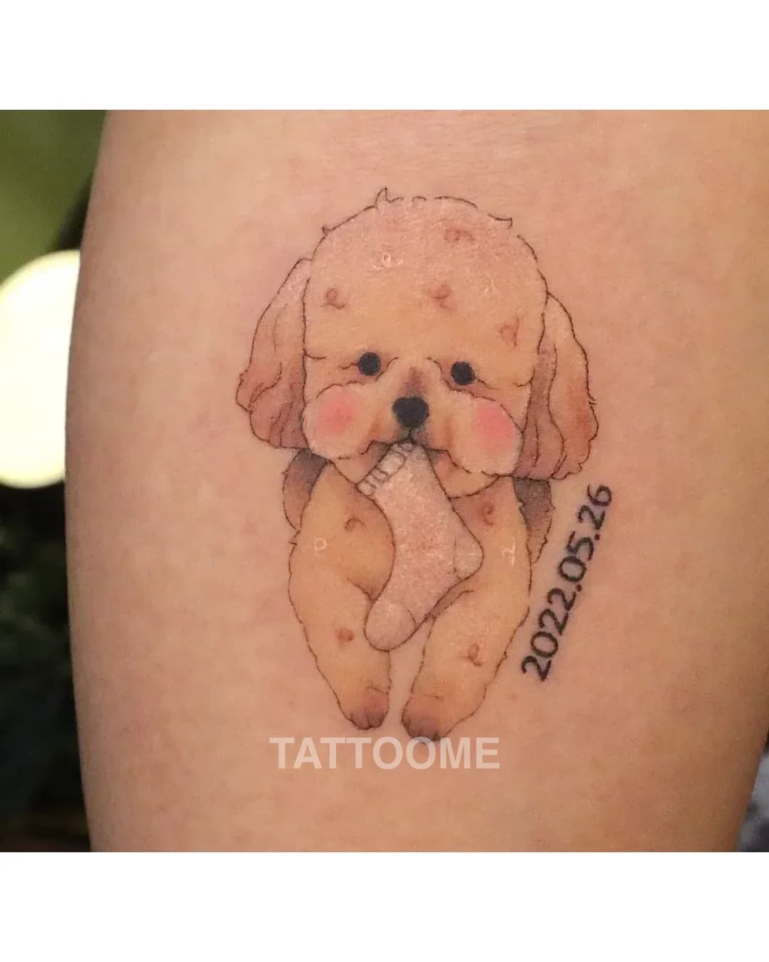 감성타투 5 - pd_bg.tattoo