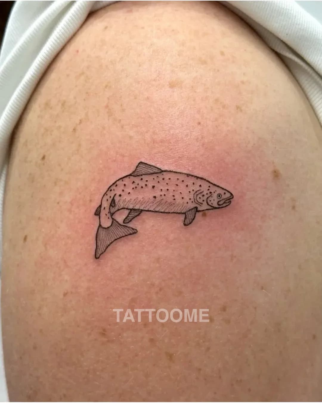 라인워크 물고기2 - banban_tattooer