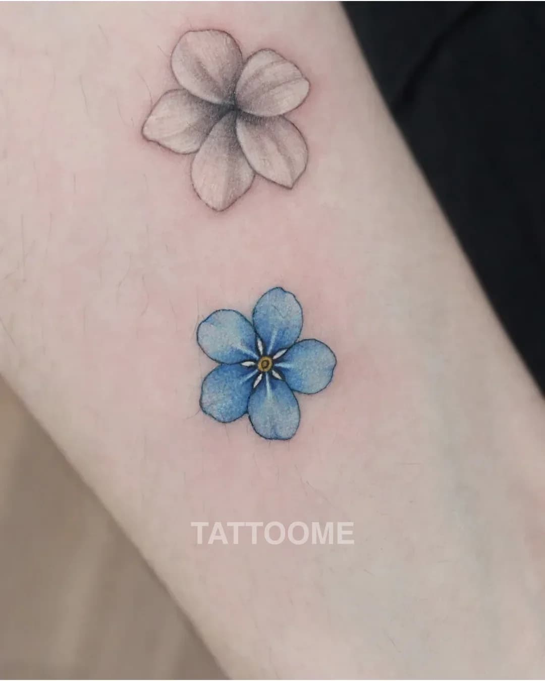 감성타투 2 - tattooist_greem
