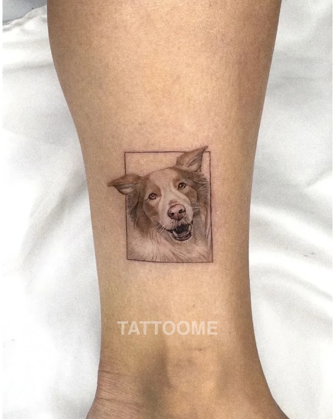 블랙앤그레이 반려견4 - bau.pettattoo