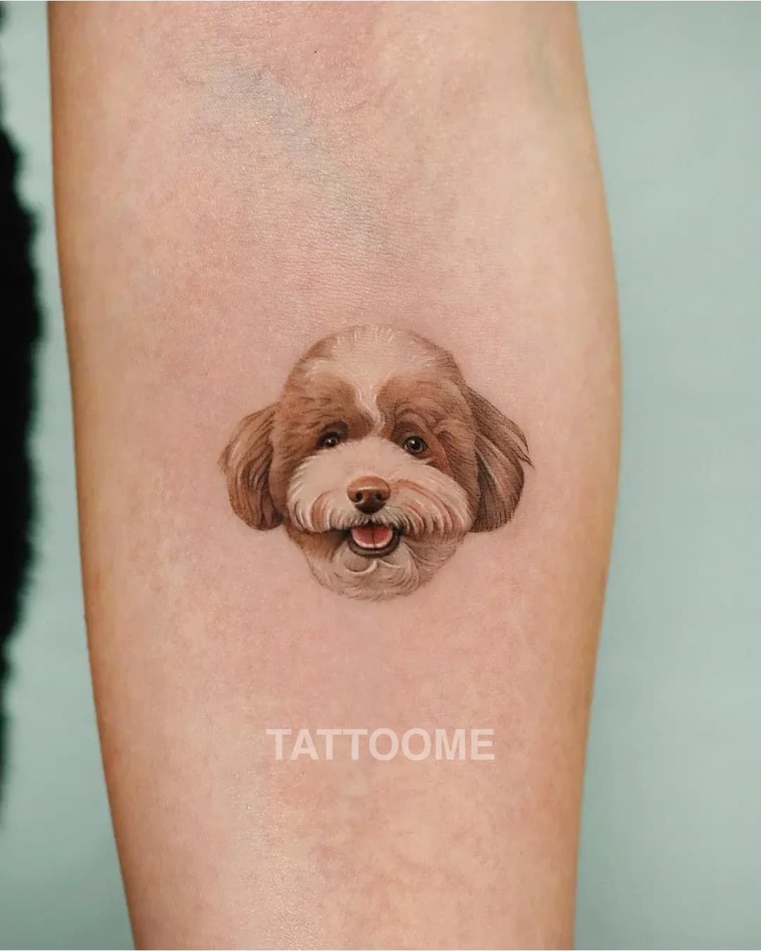 블랙앤그레이 반려견1 - bau.pettattoo