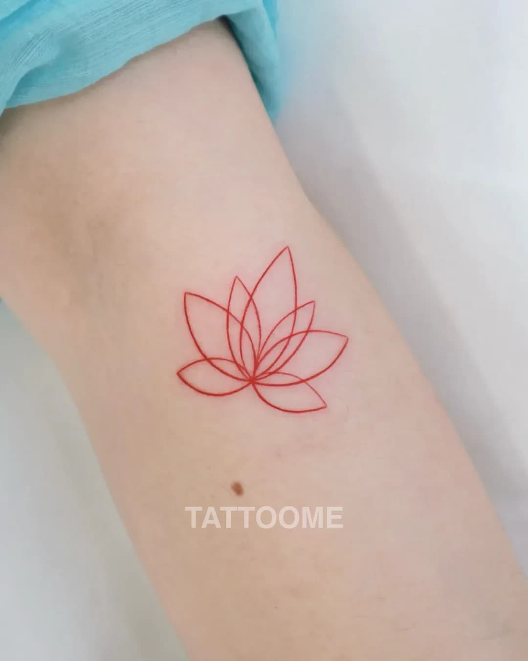라인워크 연꽃 - tattooer_insso