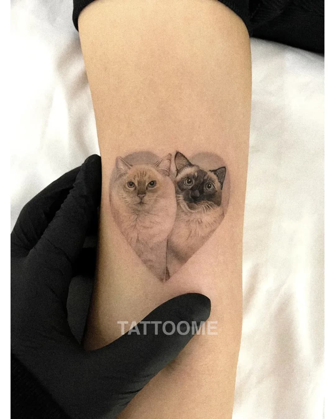 블랙앤그레이 반려견3 - bau.pettattoo