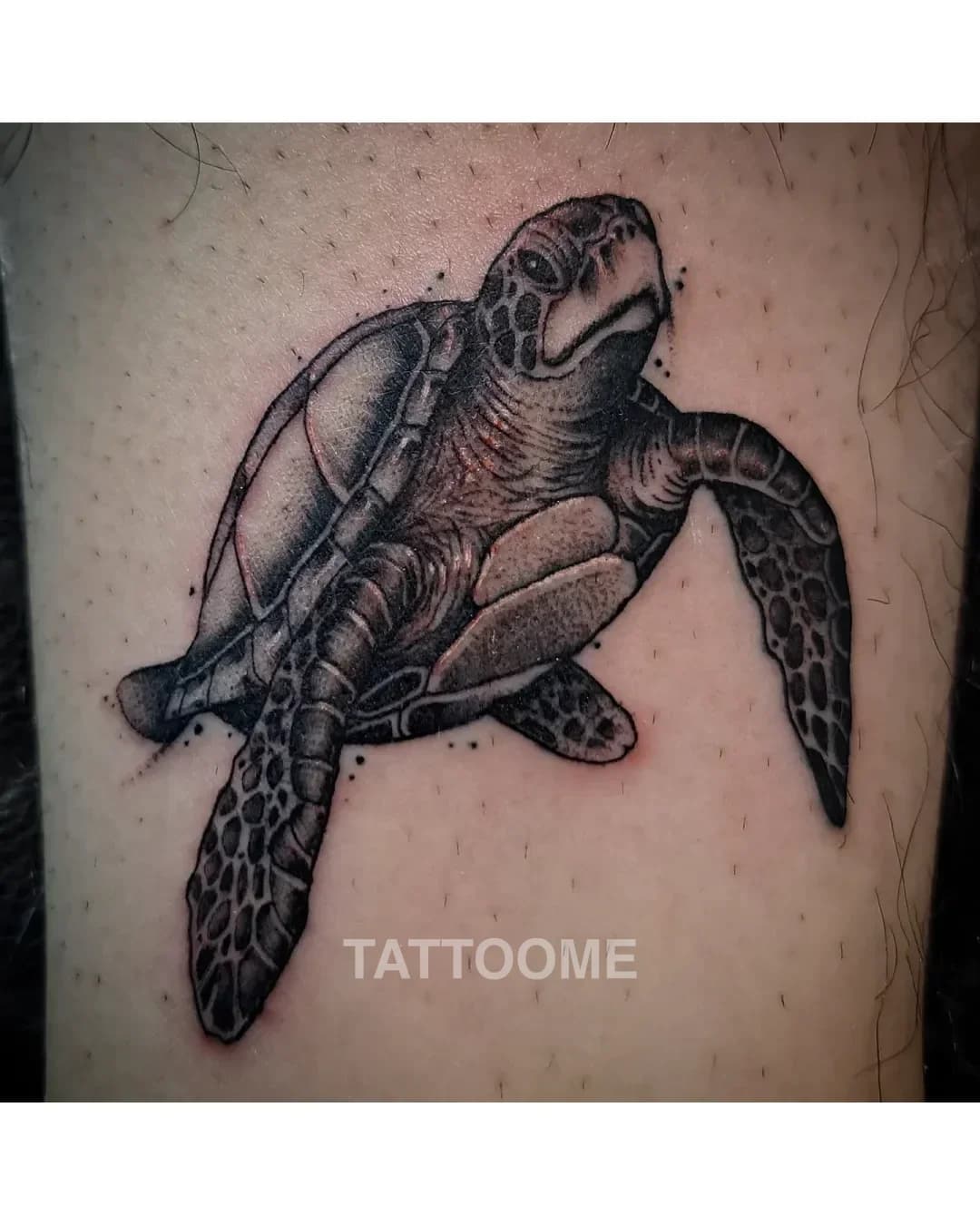 리얼리스틱 타투 4 - marinetattoos