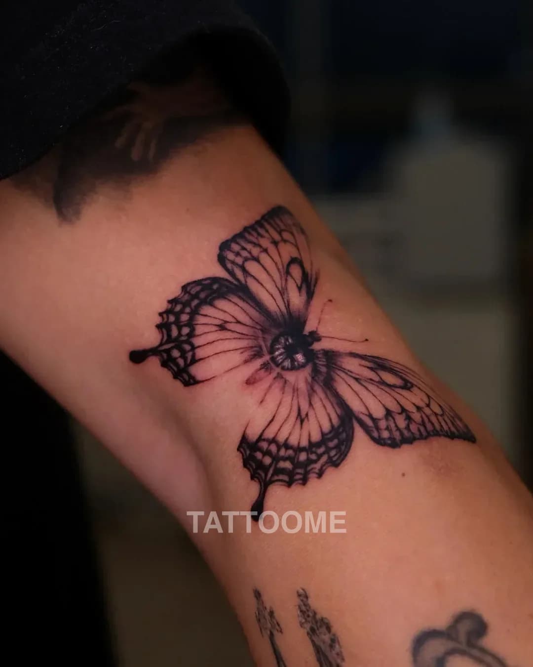 블랙앤그레이 나비 - 820.tatt