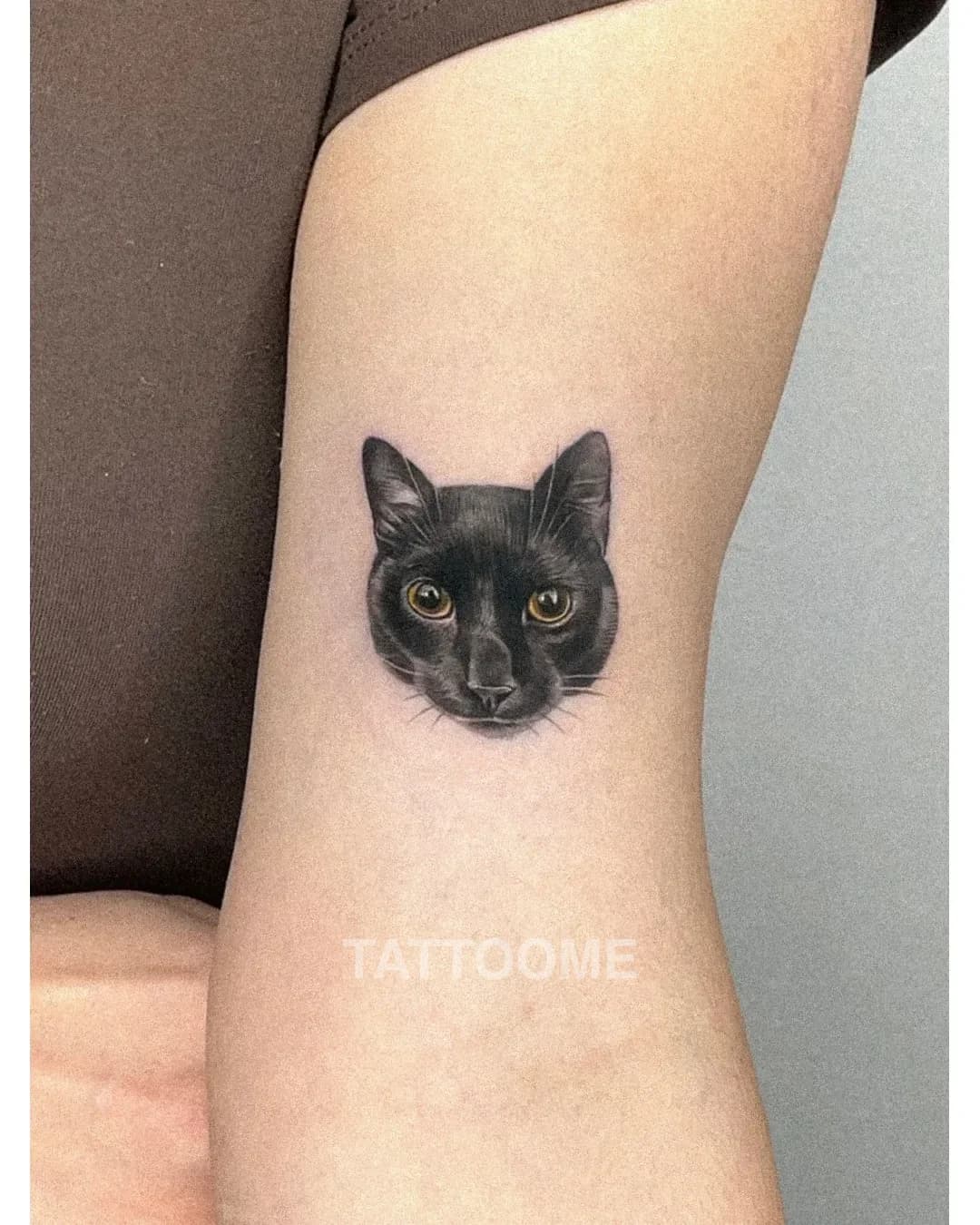 블랙앤그레이 반려묘 - bau.pettattoo