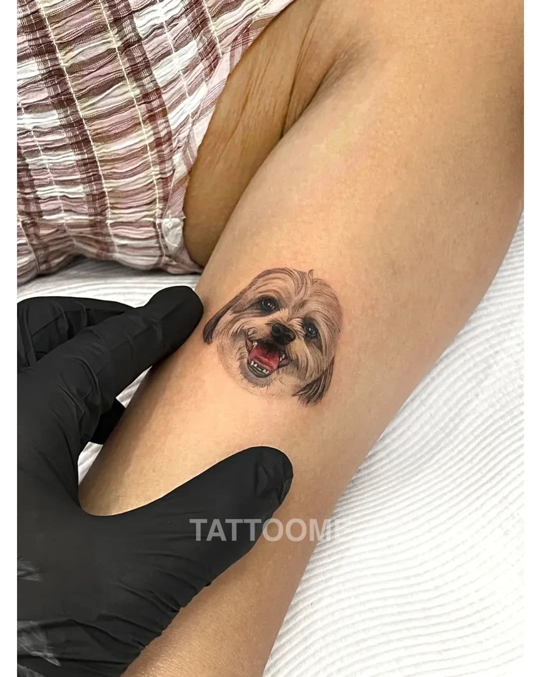 블랙앤그레이 반려견2 - bau.pettattoo