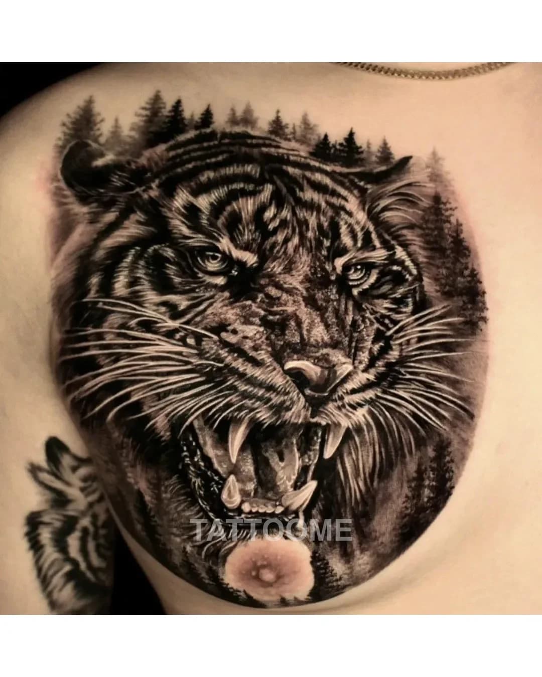 블랙앤그레이 호랑이 - sour_tattooer