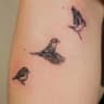 nimm_tattoo