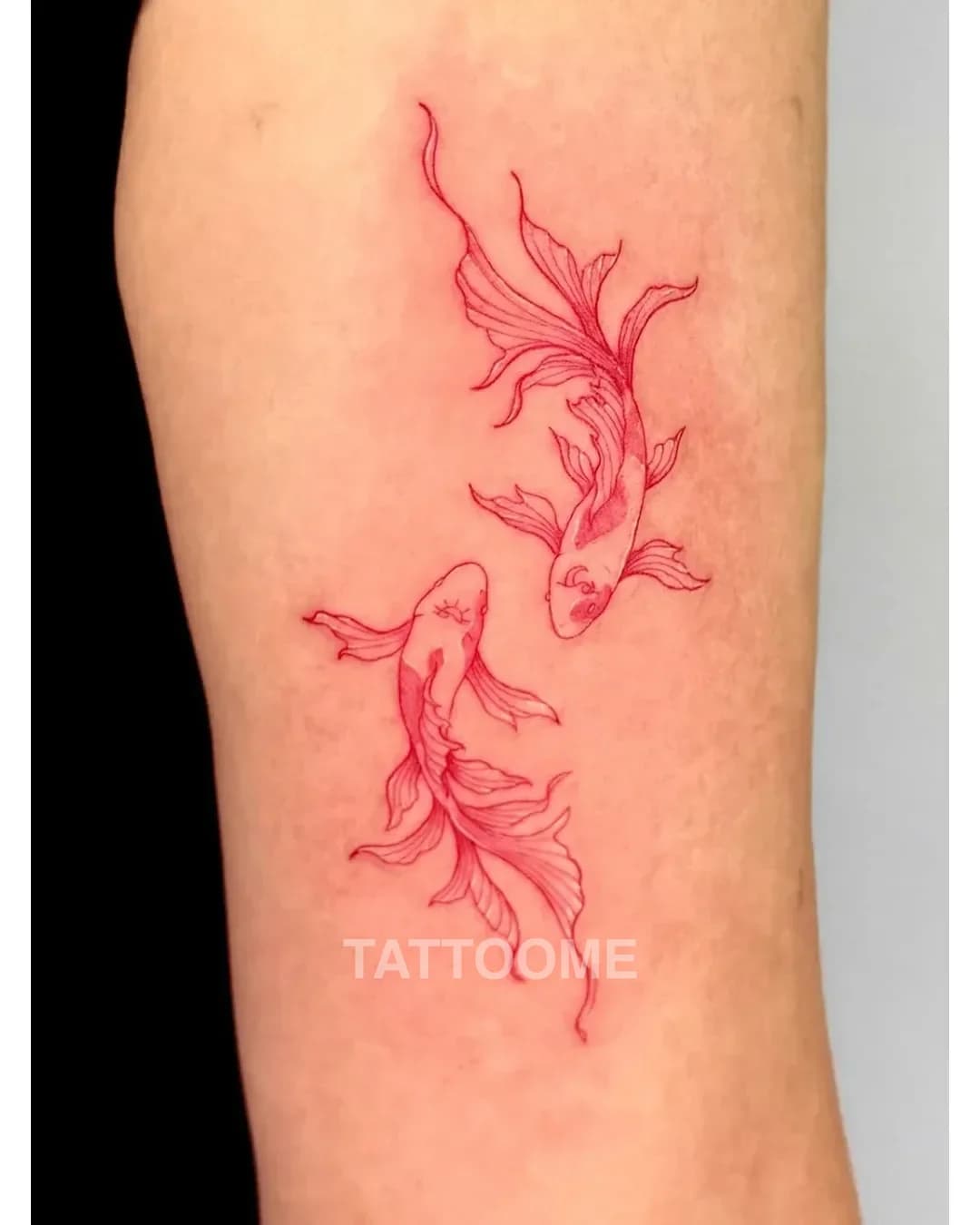 라인워크 금붕어 - jjun_tattoo