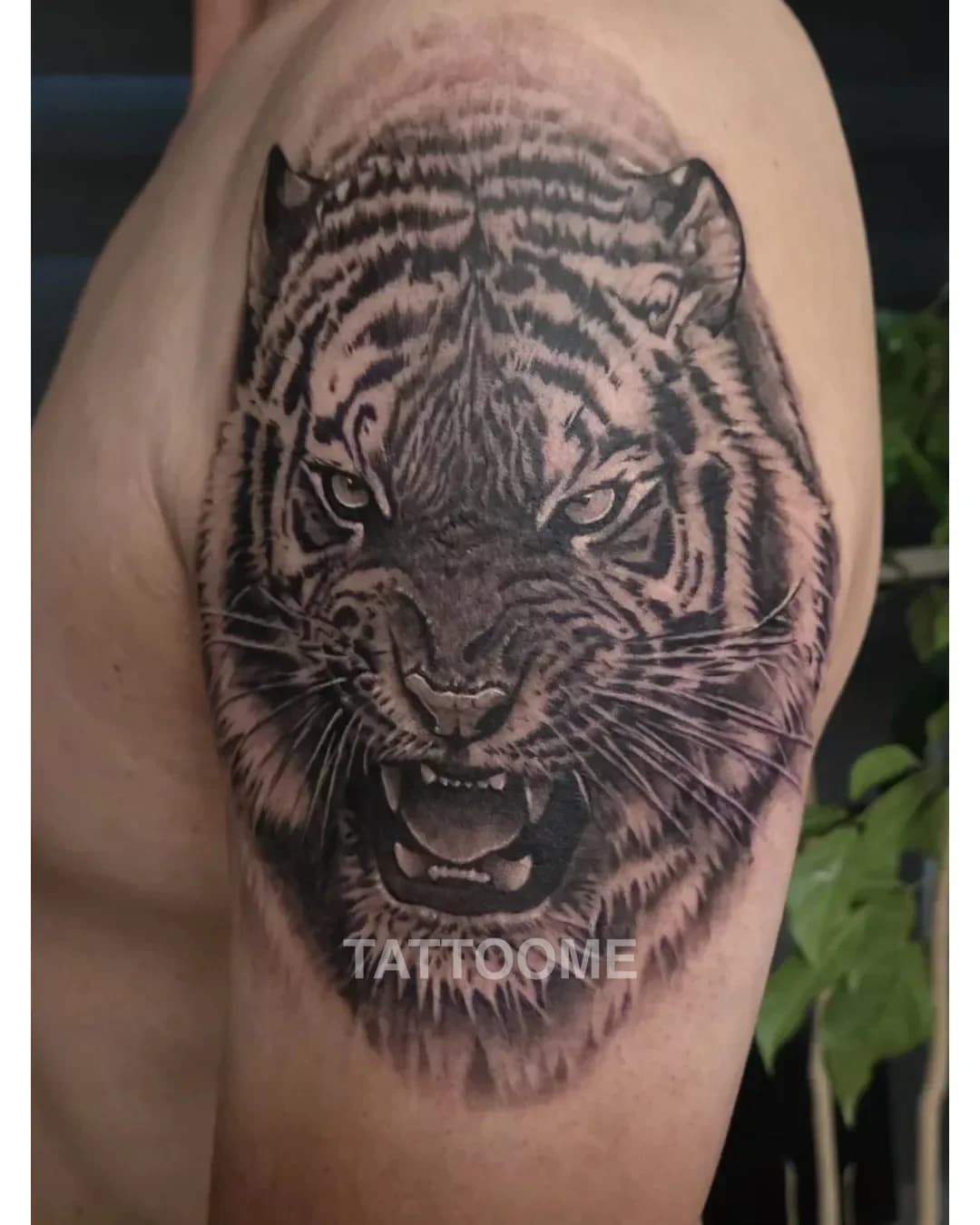 블랙앤그레이 타투 1 - vaxcy.tattoo