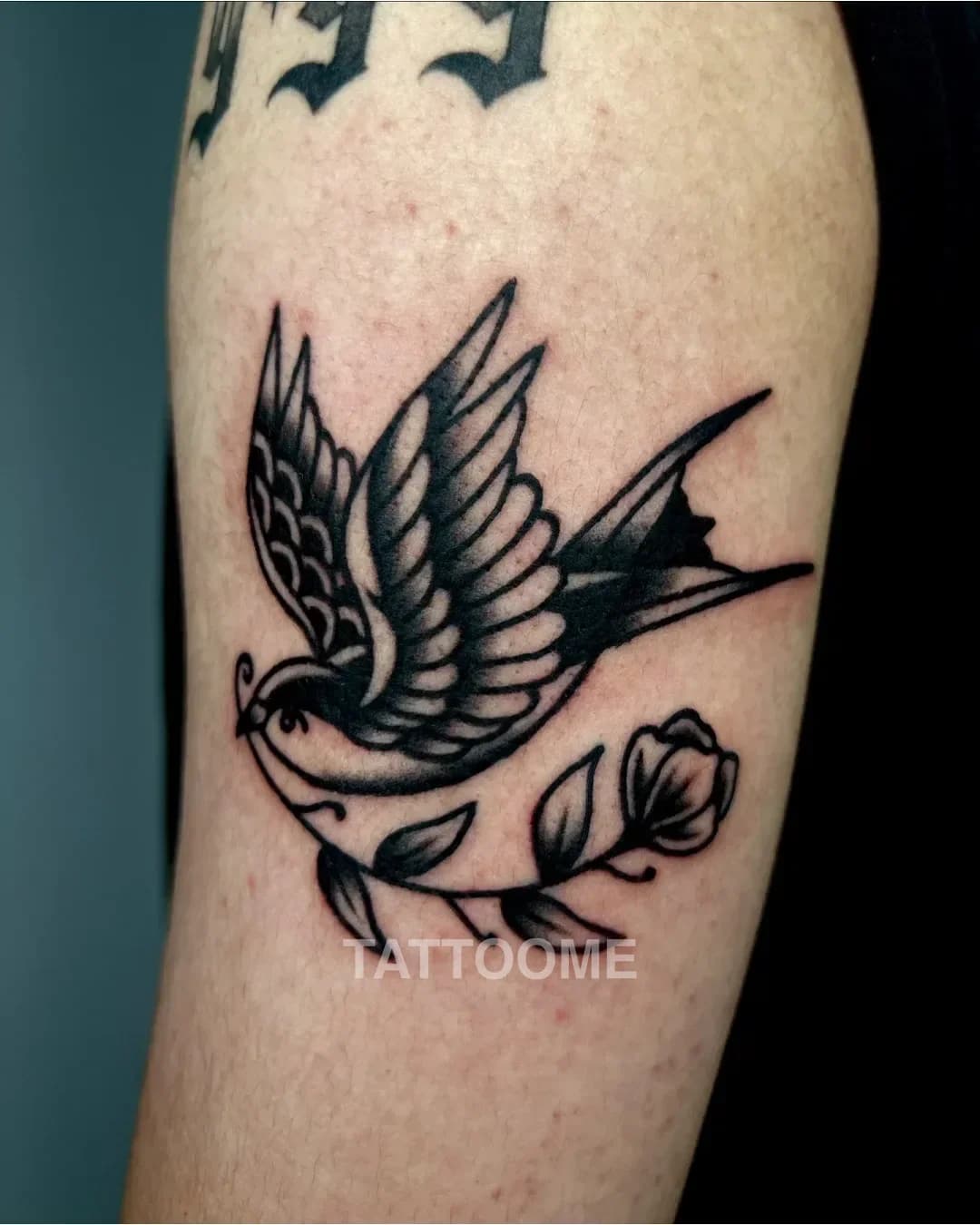 올드스쿨 제비 - ohdo_tattoo