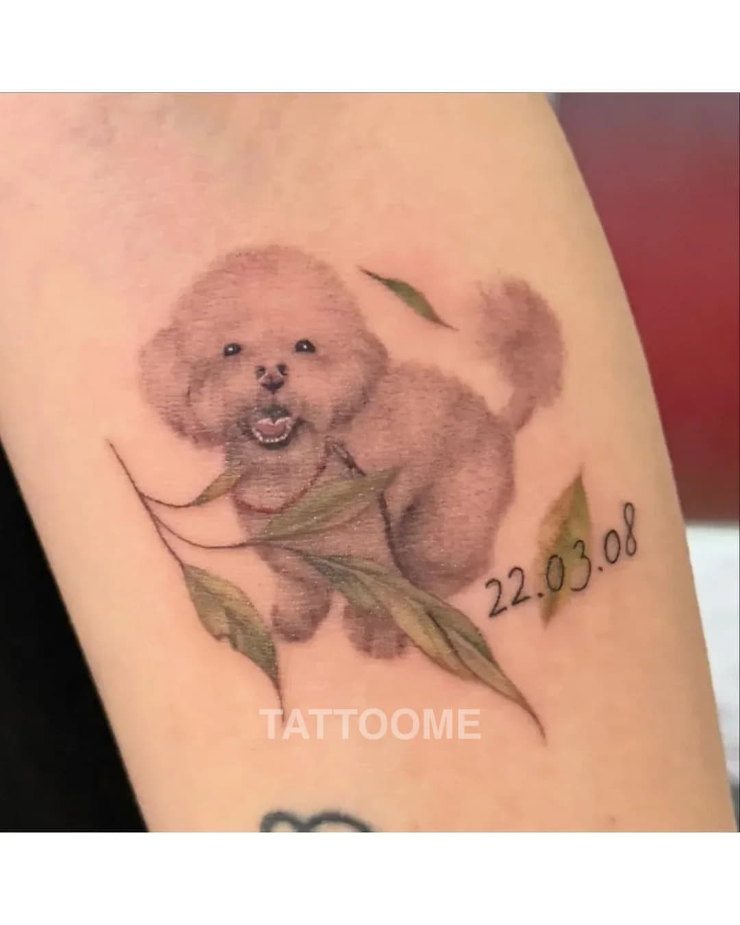 감성타투 2 - just_tattooer