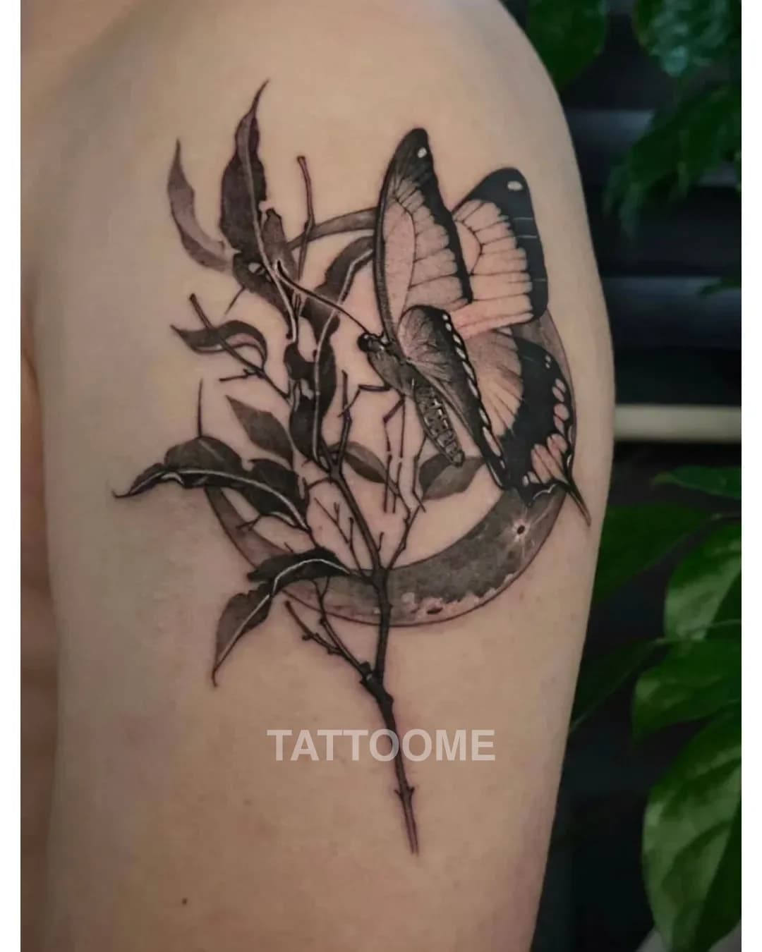 블랙앤그레이 타투 5 - vaxcy.tattoo