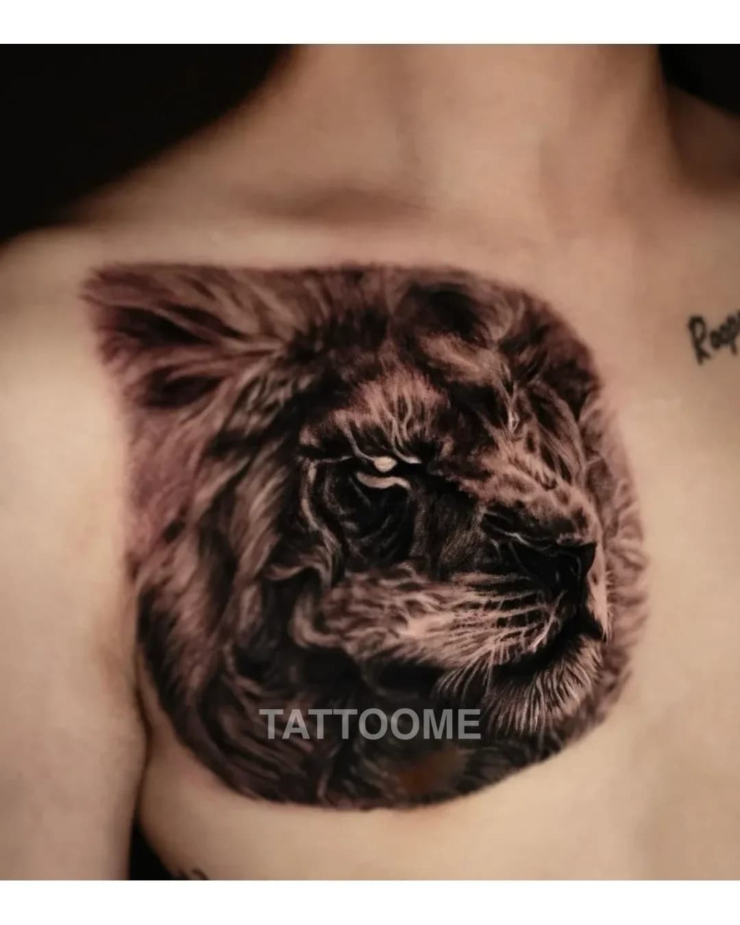 블랙앤그레이 사자 - haemong_tattooer