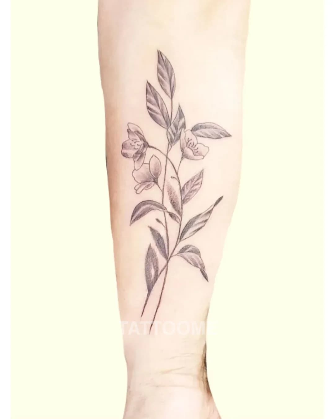 감성타투 4 - miga_tattoo