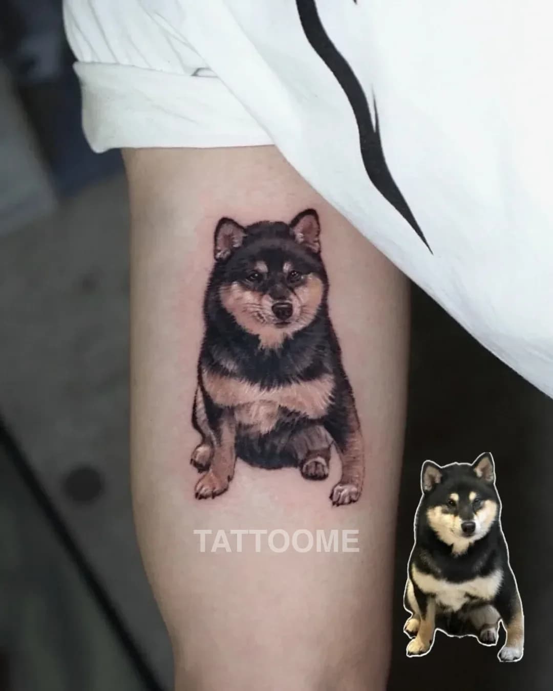 원포인트 강아지4 - tattooist.aya