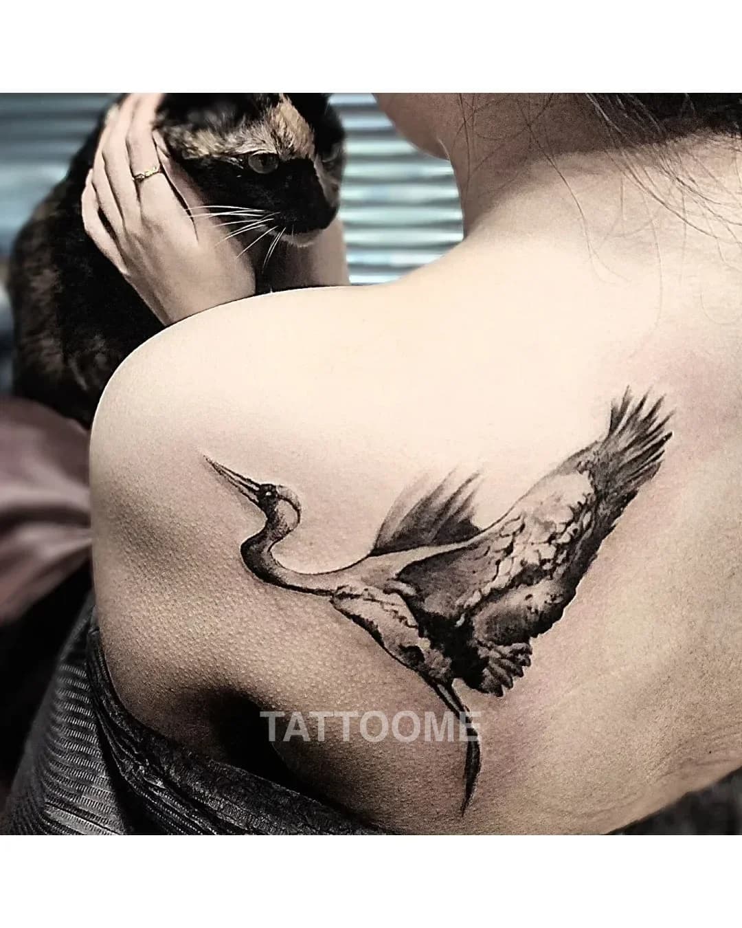 블랙앤그레이 타투 5 - tattoo_an