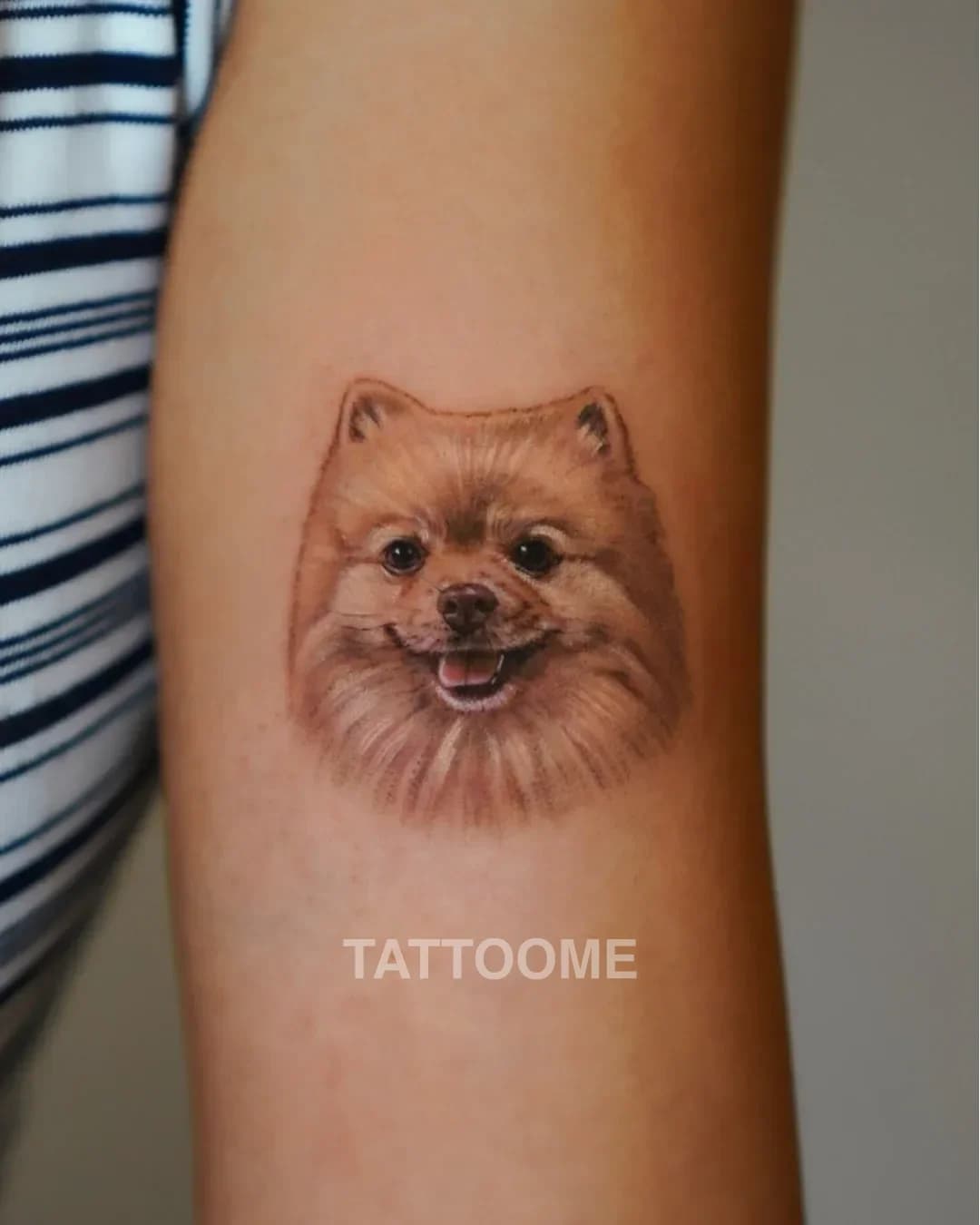 원포인트 강아지3 - tattooist.aya