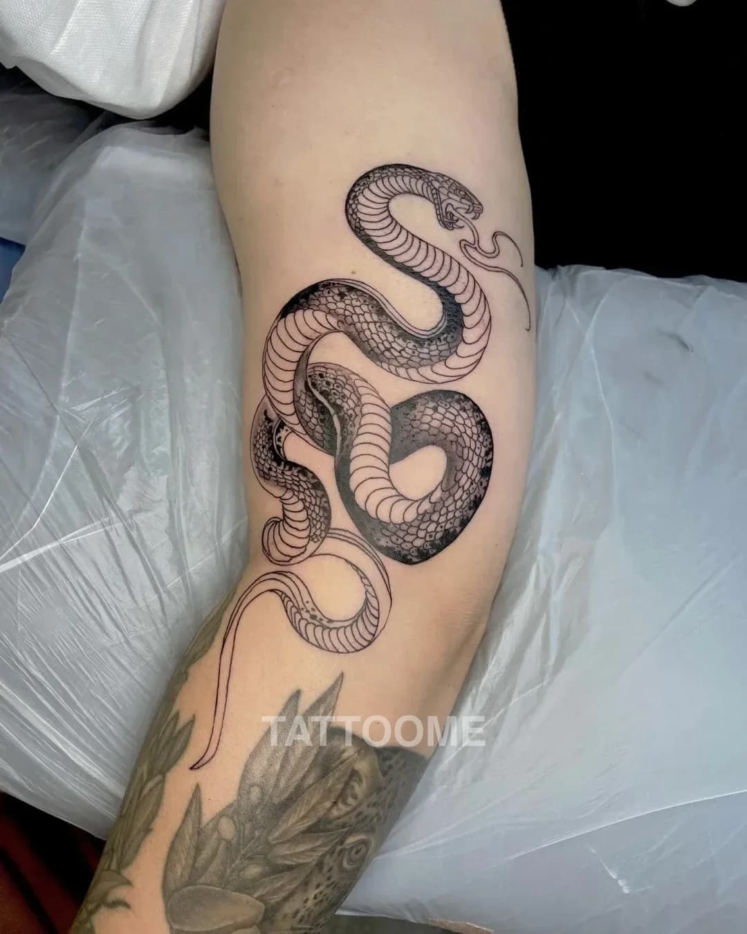 블랙워크 뱀 - overallz_tattoo
