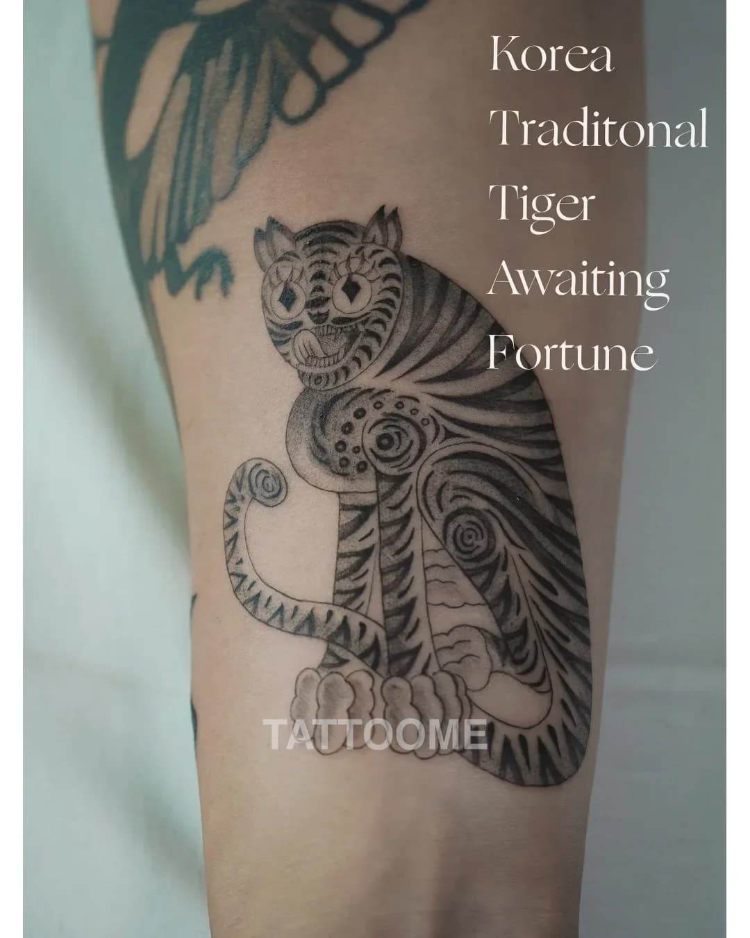 Portfolio 5