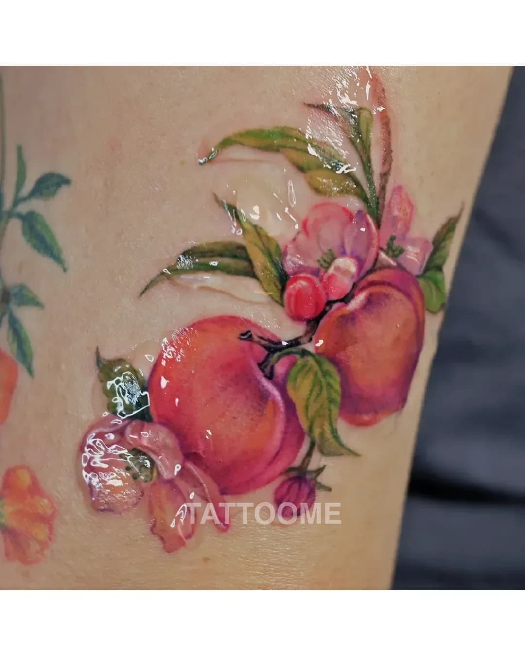 감성타투 복숭아 - tattooist_petal