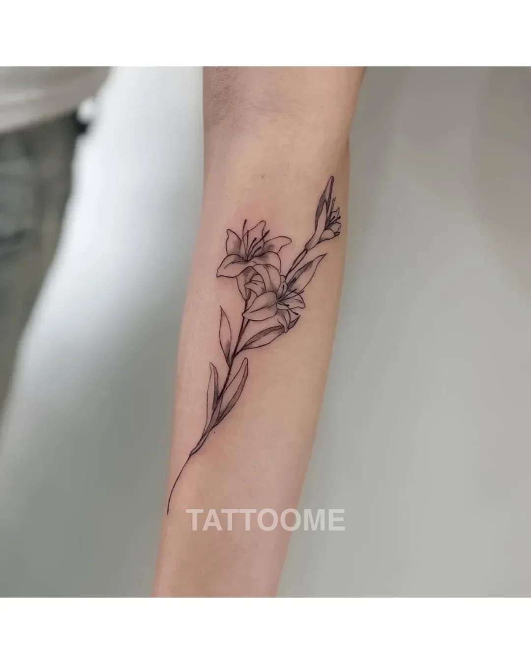 라인워크 타투 5 - somyo.tattoo