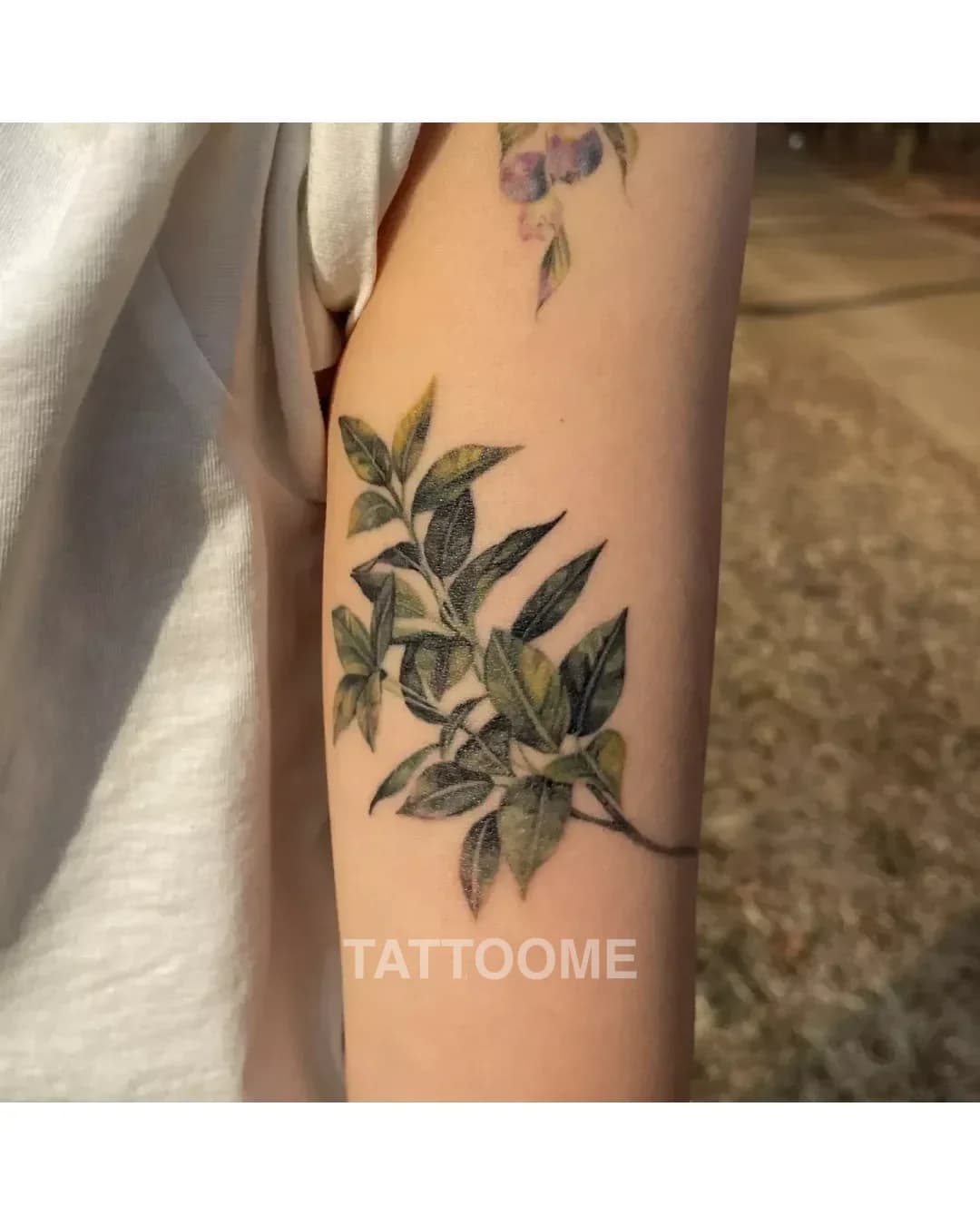 감성타투 나뭇잎 - tattooist_petal