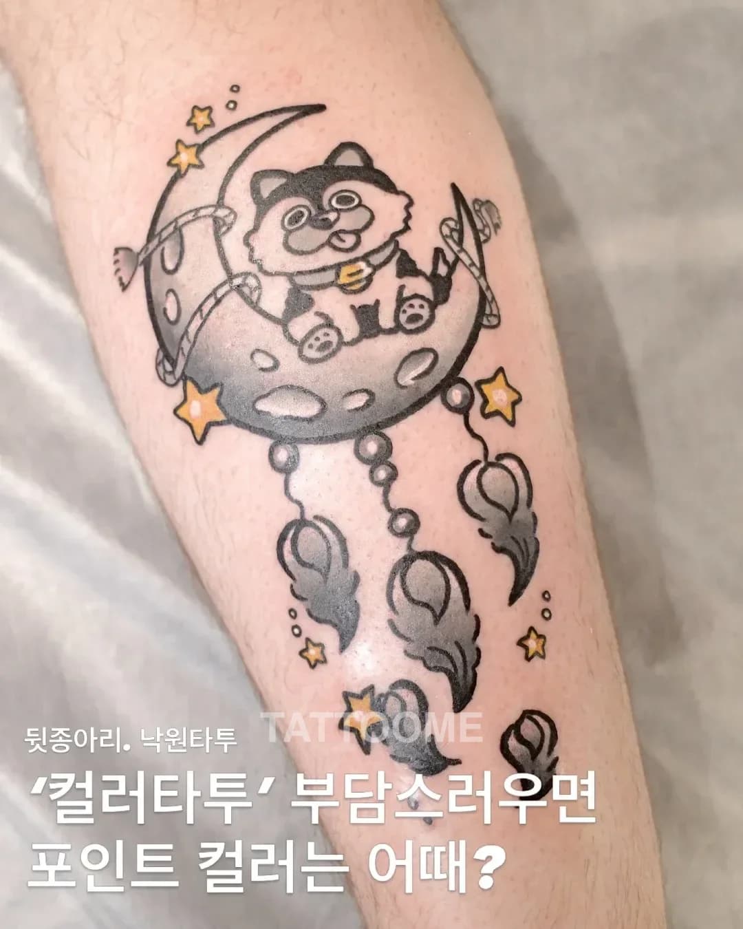 뉴스쿨 강아지 - nakwon_tt